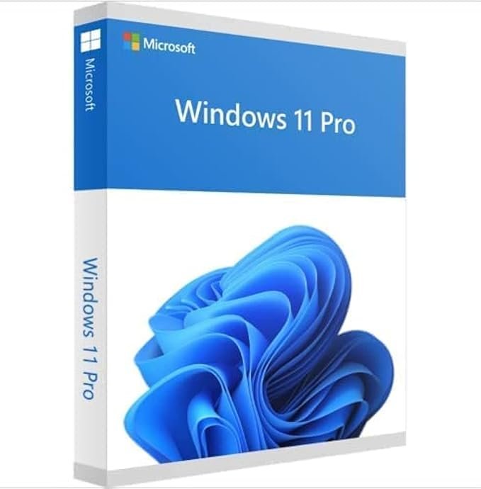 Microsoft Windows 11 Professional OEM DVD 64 bit | English | 1 PC | Original Activation Key | Lifetime License